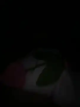 tarantan1993 online show from March 5, 2026, 11:01 pm