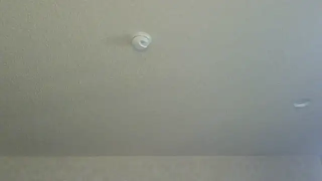 Flossee online show from April 11, 2026, 12:15 am