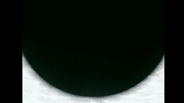 santinini2 online show from April 11, 2026, 7:51 pm
