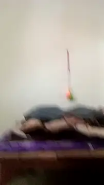 Guriya0076 online show from February 23, 2026, 11:07 am