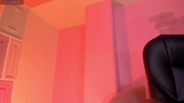 Snapshot of SophieHouston_ chatting on July 8, 2026, 3:00 am SophieHouston online show from July 8, 2026, 3:00 am