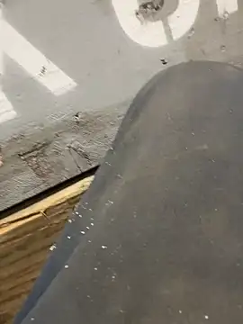 curis4270panda online show from February 16, 2026, 8:05 pm