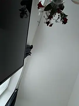 SexyLeon8 online show from January 14, 2026, 3:06 pm