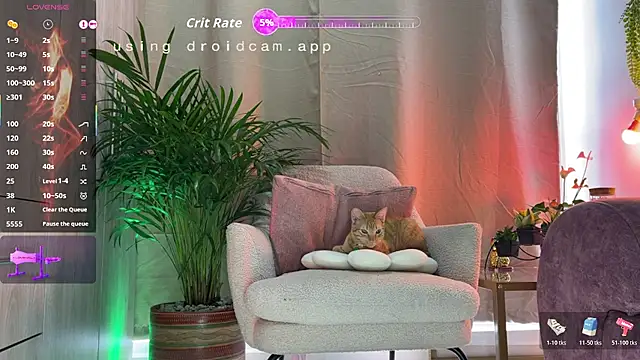 jhosepMoreno online show from February 23, 2026, 7:55 pm