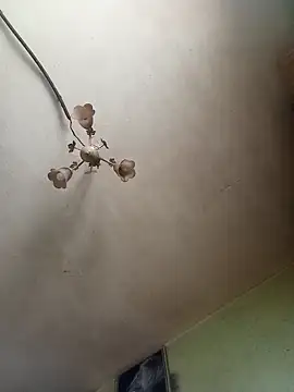 ToughDraft14 online show from April 27, 2026, 5:16 am