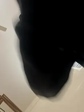 zack6x online show from December 2, 2025, 3:40 pm