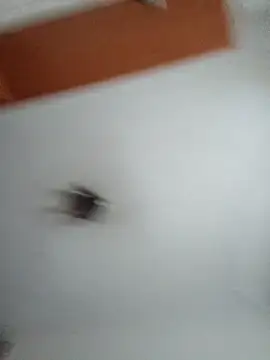 Snapshot of Hottiesophie chatting on March 25, 2026, 4:13 pm Hottiesophie online show from March 25, 2026, 4:13 pm