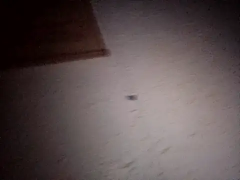 Snapshot of Hottiesophie chatting on April 11, 2026, 8:02 pm Hottiesophie online show from April 11, 2026, 8:02 pm