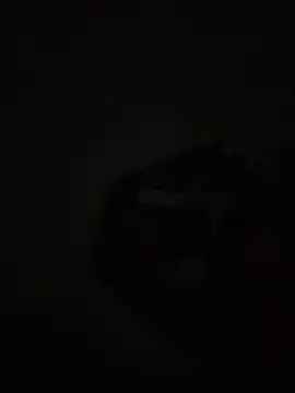 mario231197 online show from February 9, 2026, 1:31 am