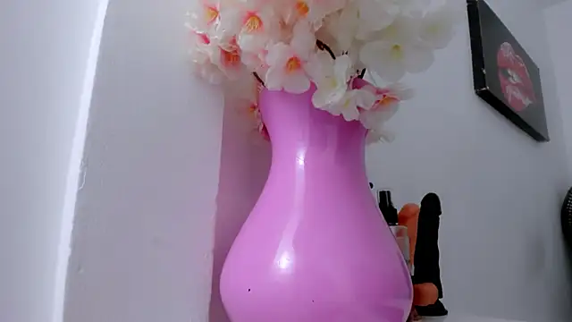 eimy skinny  online show from January 18, 2026, 1:04 pm