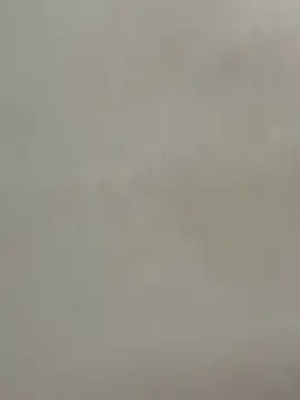 Cute-Sakhi online show from December 15, 2025, 1:59 pm