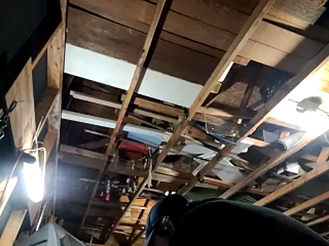 thejuicybacon online show from November 22, 2025, 2:10 am