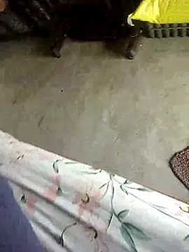 Telugu person12 online show from September 30, 2025, 6:51 am