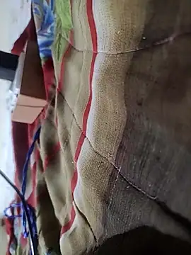 Telugu person12 online show from February 16, 2026, 9:00 pm