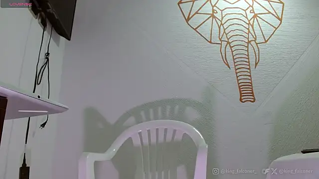 king falconer online show from February 21, 2026, 5:03 pm