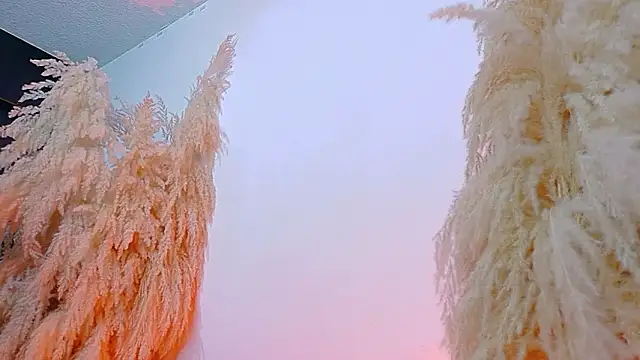 JulietaDavis online show from February 19, 2026, 8:10 am