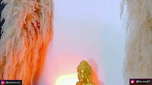 JulietaDavis online show from April 15, 2026, 9:38 am