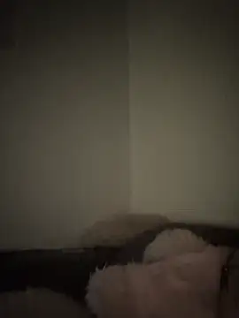 Bimalehung online show from November 16, 2025, 2:06 am