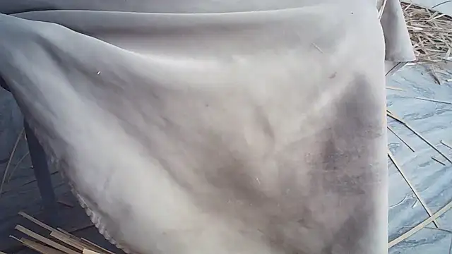 Elisa24 online show from January 14, 2026, 1:22 am