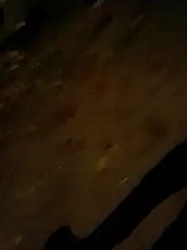 jvdzj-0  online show from October 28, 2025, 9:50 pm