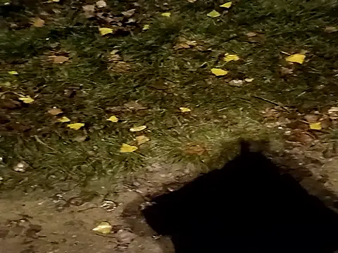 jvdzj-0  online show from October 29, 2025, 10:44 pm