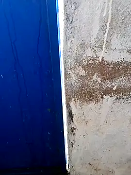 Yaman 33 online show from March 29, 2026, 9:31 am