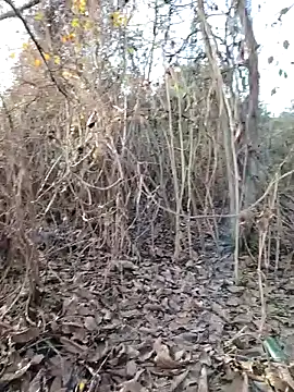 Prince-sexy online show from December 21, 2025, 2:13 pm