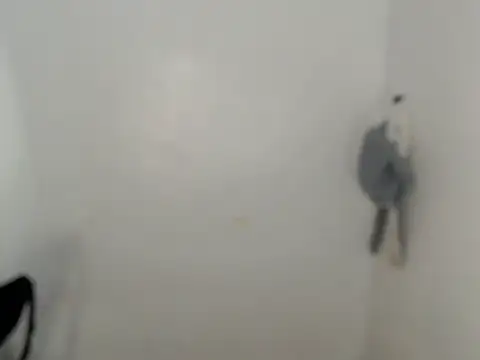 Snapshot of ynotyu chatting on March 29, 2026, 5:18 am ynotyu online show from March 29, 2026, 5:18 am