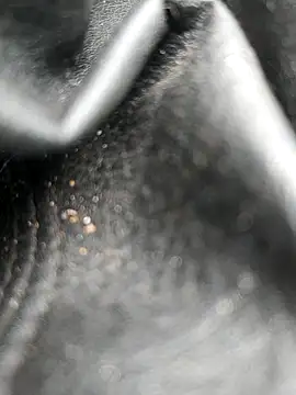 legaros online show from October 19, 2025, 8:04 am