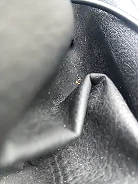 legaros online show from April 3, 2026, 2:26 pm