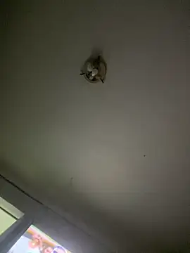 Isabelaa  online show from March 28, 2026, 3:28 am