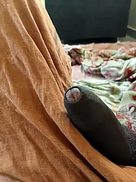 vichuhot online show from September 26, 2025, 8:29 am