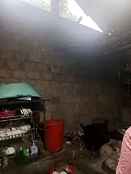 Ocnguyety online show from January 11, 2026, 12:48 am