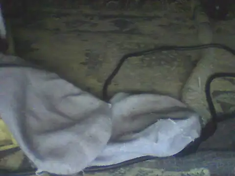 Bebita-zmp online show from July 11, 2026, 4:32 pm