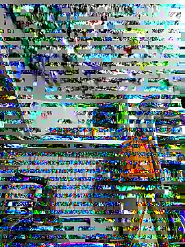 Snapshot of ISHANI-SINGH chatting on November 29, 2025, 3:37 pm ISHANI-SINGH online show from November 29, 2025, 3:37 pm