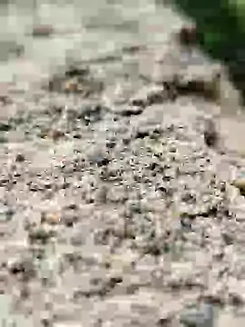 Snapshot of Girls_pussy_rider chatting on September 14, 2025, 1:49 am Girls pussy rider online show from September 14, 2025, 1:49 am