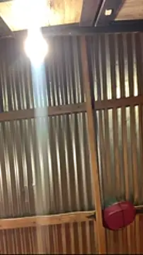 jabulani2600 online show from January 6, 2026, 9:07 pm