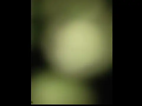 sobit1234 online show from October 18, 2025, 6:52 pm