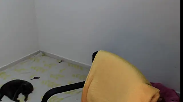 meganmiauu online show from May 11, 2026, 4:04 pm