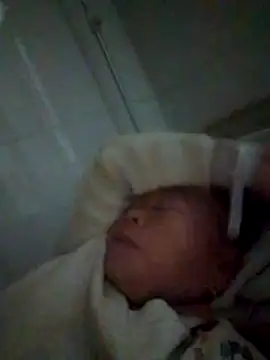 VangLe73 online show from December 22, 2025, 10:51 pm