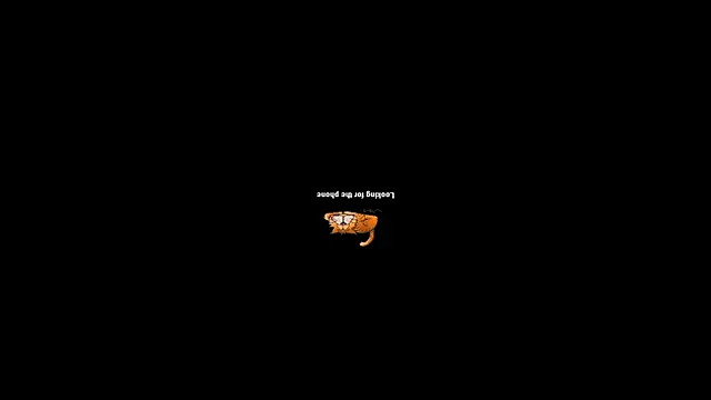 Snapshot of pecsblack888 chatting on September 29, 2025, 6:46 pm pecsblack888 online show from September 29, 2025, 6:46 pm