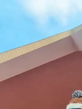 Michel huge online show from February 11, 2026, 5:45 am