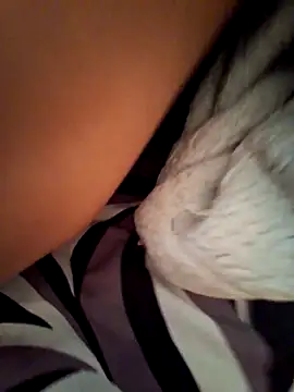 Snapshot of BooingCabalist chatting on March 10, 2026, 5:45 am BooingCabalist online show from March 10, 2026, 5:45 am