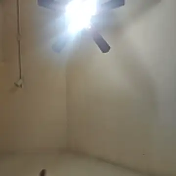 Snapshot of Tclarke93 chatting on November 12, 2025, 5:52 am Tclarke93 online show from November 12, 2025, 5:52 am