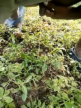 Snapshot of BlackhorseBBC chatting on October 14, 2025, 2:01 am BlackhorseBBC online show from October 14, 2025, 2:01 am