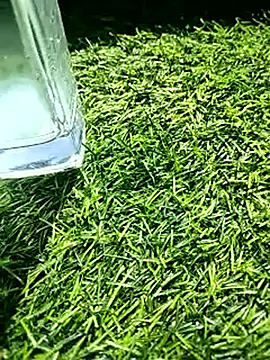 Snapshot of BlackhorseBBC chatting on February 18, 2026, 6:31 am BlackhorseBBC online show from February 18, 2026, 6:31 am