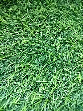 Snapshot of BlackhorseBBC chatting on March 14, 2026, 9:48 am BlackhorseBBC online show from March 14, 2026, 9:48 am