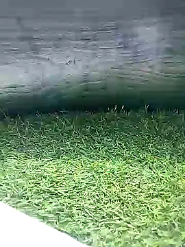 Snapshot of BlackhorseBBC chatting on March 26, 2026, 6:52 am BlackhorseBBC online show from March 26, 2026, 6:52 am