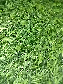 Snapshot of BlackhorseBBC chatting on April 12, 2026, 8:52 am BlackhorseBBC online show from April 12, 2026, 8:52 am