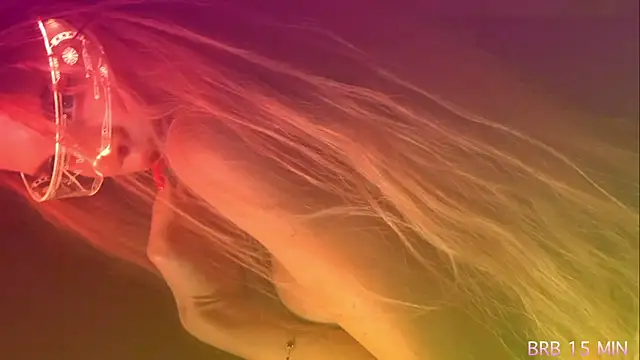 Alvuwkaa online show from April 7, 2026, 1:00 pm